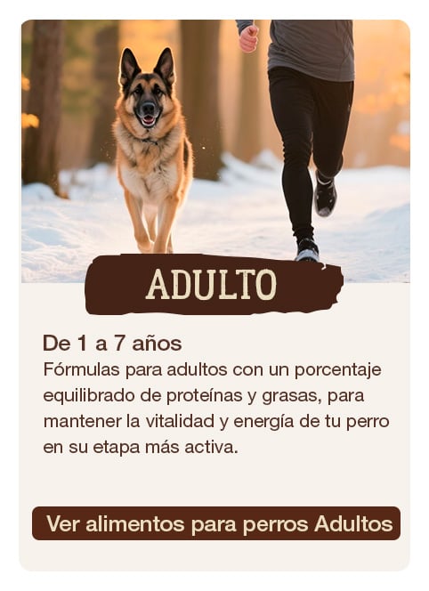 True Origins para perros adultos