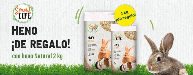 Small Life: Heno de regalo con heno Natural 2 kg