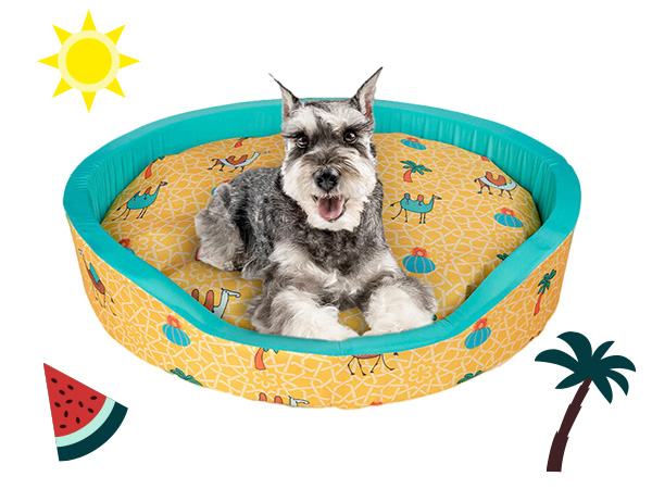 Mantas y bandanas refrescantes para perros y gatos