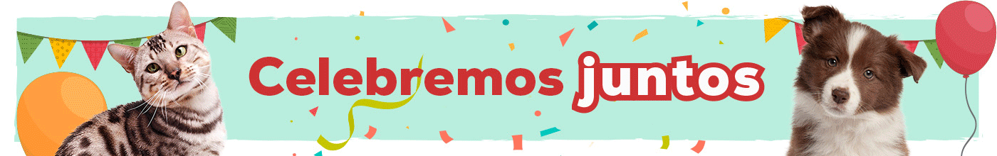 19º Aniversario: Hasta -50% en selección de accesorios
