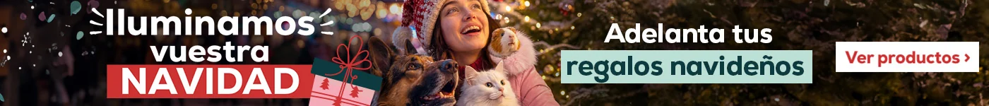 Adelanta tus regalos navideñas