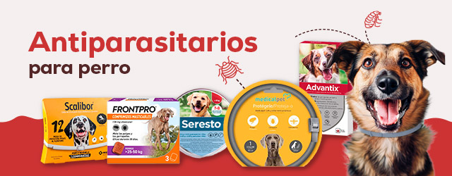 Antiparasitarios Perro