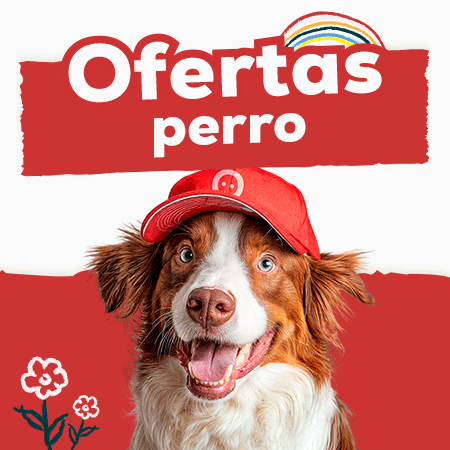 Ofertas para perro