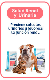 Nath Renal y Urinario: Previene cálculos y favorece la función renal