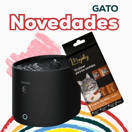 Descubre todas las novedades para gato
