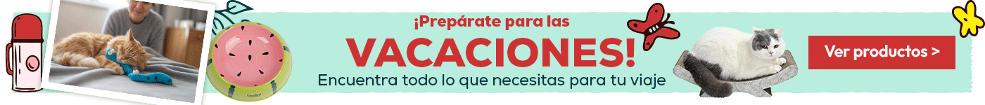 Prepárate para las vacaciones: Hasta -40% en accesorios para gato