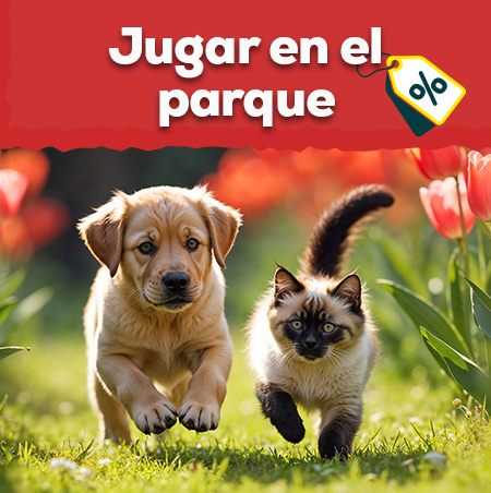 Ofertas de juguetes para divertirse en el parque
