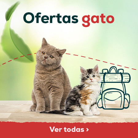 Ofertas gato