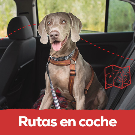 Rutas en coche
