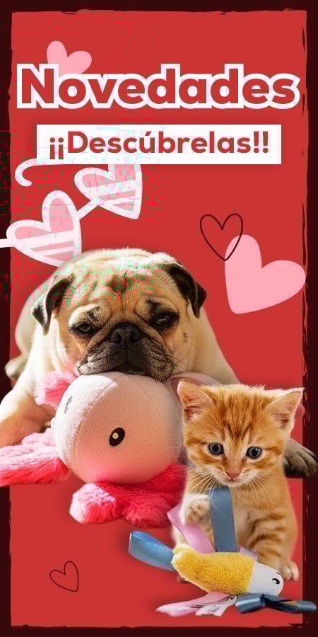 Descubre las novedades de Febrero