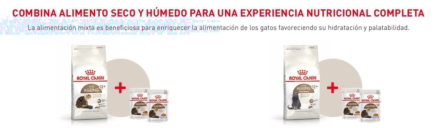 Dale a tu gato una experiencia nutricional completa favoreciendo su hidratación y palatabilidad combinando el pienso seco con la comida húmeda.