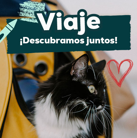 Ofertas de productos de viaje