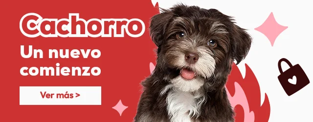 Tienda del cachorro: Todo lo que necesitas para darle la bienvenida