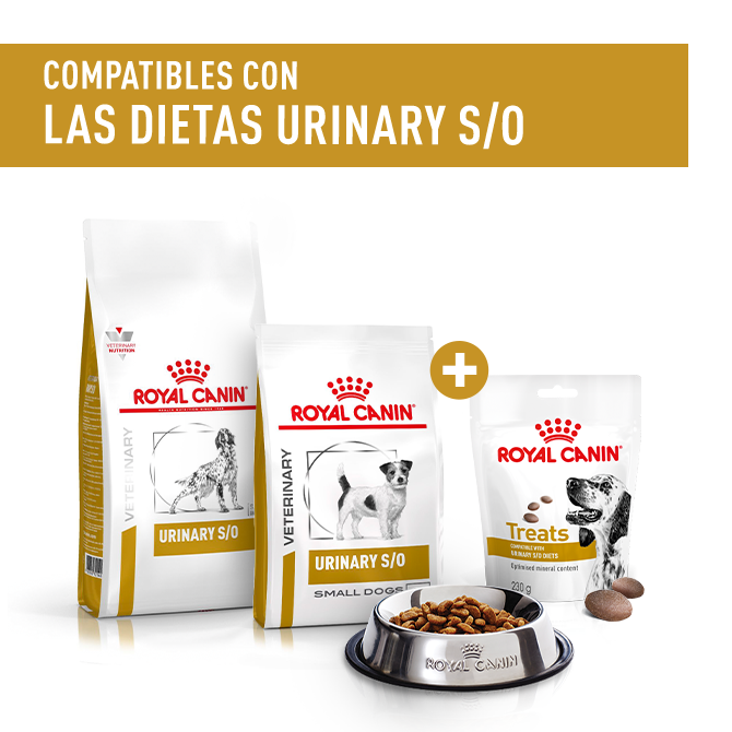 Royal Canin. Compatibles con las Dietas Urinary S/O.