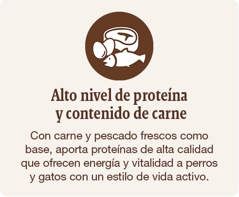 Alimentación con alto nivel de proteína que aporta energía y vitaminas a perros y gatos con un estilo de vida activo