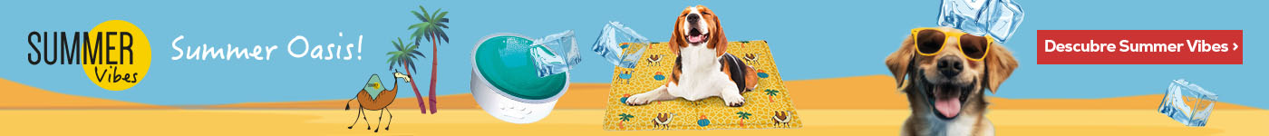 Summer Vibes: Los productos más refrescantes de la nueva colección de verano para perro
