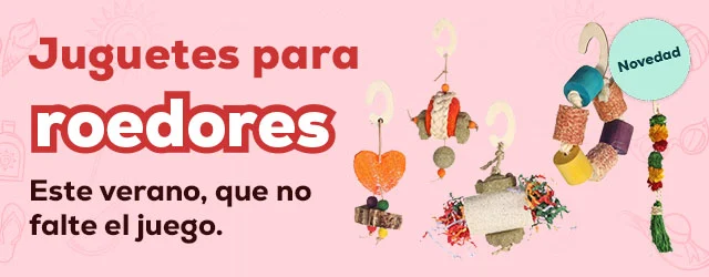 Flamingo: Descubre la novedad en juguetes