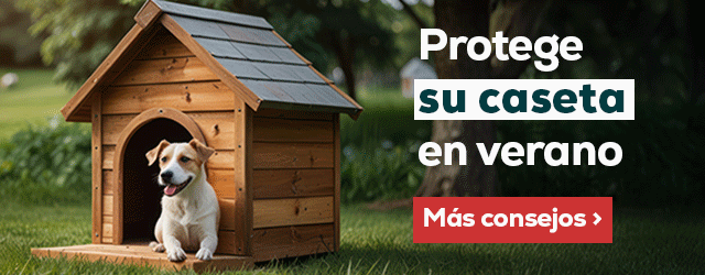 Como proteger la caseta de tu perro en verano