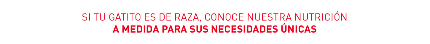 Royal Canin Razas. Conoce la nutrición a medida para necesidades únicas
