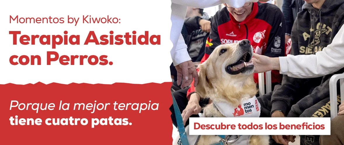 Un buen antiparasitario protege e los tuyos