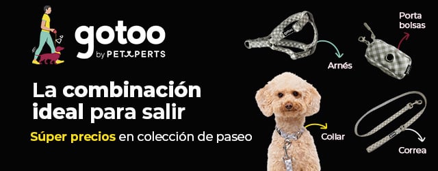 Gotoo: Súper precios en colección de paseo