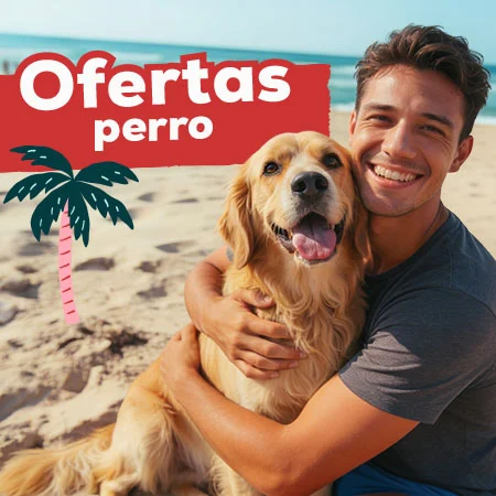 Ofertas para perro