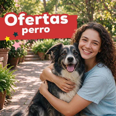 Ofertas para perro