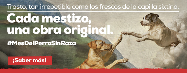 Mes del perro sin raza