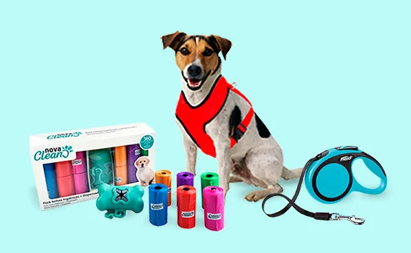Los accesorios más chulos para pasear