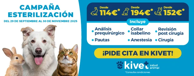 Campaña esterilización