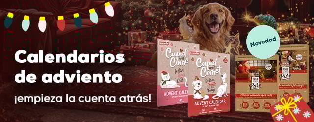 Calendario de adviento