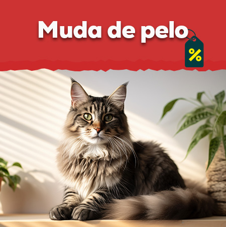 Ofertas de productos para la muda del pelo