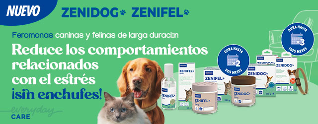 Zenifel y Zenidog