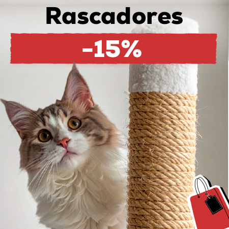 -15% en selección de rascadores