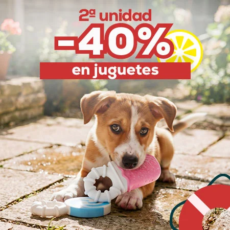 -40% en la 2ª unidad en selección de juguetes