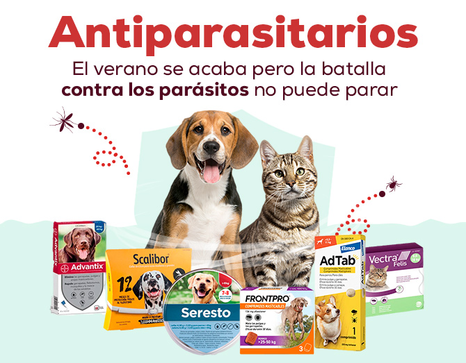 Termina el calor pero los parasitos siguen atacando ¡Mantiene tu mascota siempre protegida con los mejores antiparasitarios!