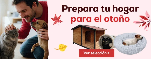 Prepara tu hogar para el otoño, hasta -30% en selección de accesorios