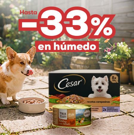 Hasta -33% en selección de húmedos para perro