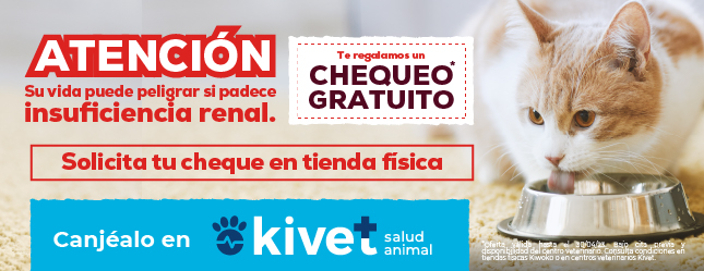 Mundo | Tienda de animales online
