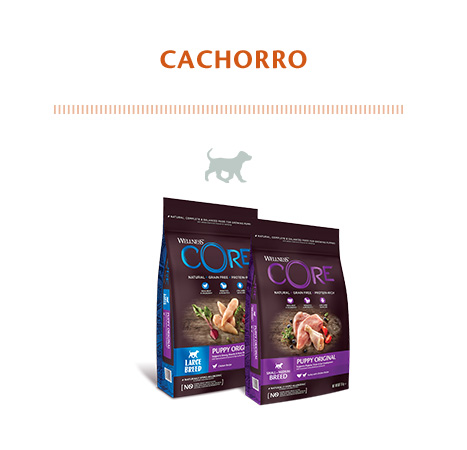 Alimento para cachorro de la marca Wellness Core