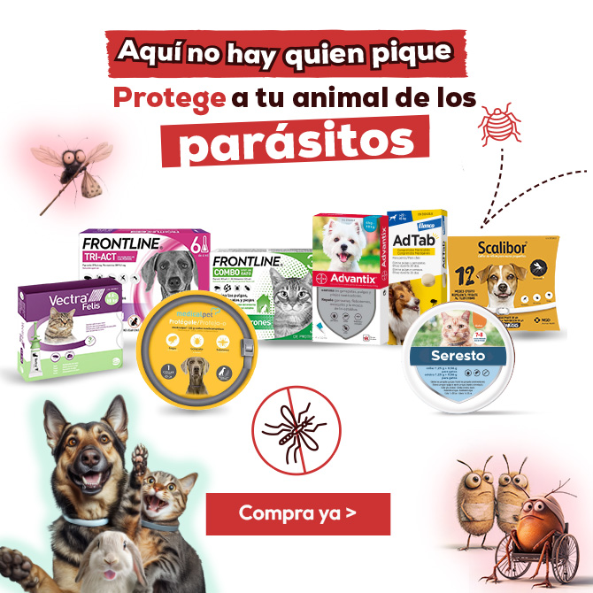 Antiparasitarios Perro y Gato: Es hora de protegerlos de las pulgas, garrapatas, flébotomos...