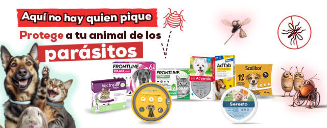 Antiparasitarios Perro y Gato: Es hora de protegerlos de las pulgas, garrapatas, flébotomos...