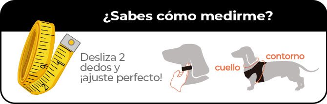 ¿Cual es la talla que mejor se adapta a mi perro? Aprende como medirle para elegir la tala adecuada.