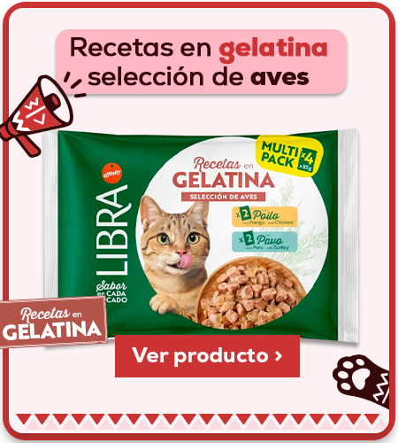 Recetas en gelatina selección de aves