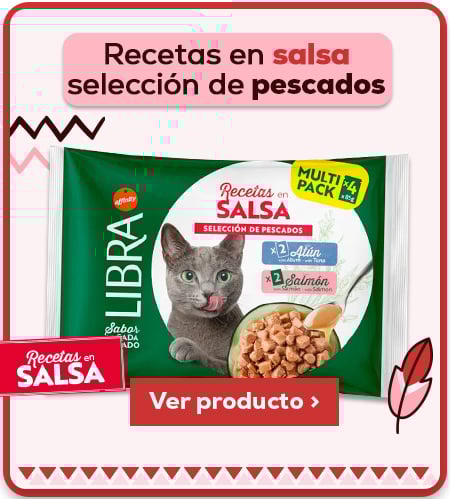 Recetas en salsa selección de pescados