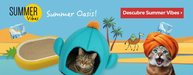 Summer Vibes: Los productos más refrescantes de la nueva colección de verano para gato