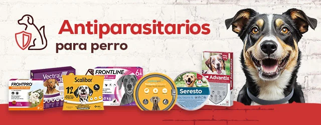 Antiparasitarios Perro