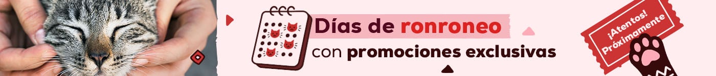 Días de ronroneo con promociones exclusivas. Próximamente...estate atento Días de ronroneo con promociones exclusivas. Próximamente...estate atento