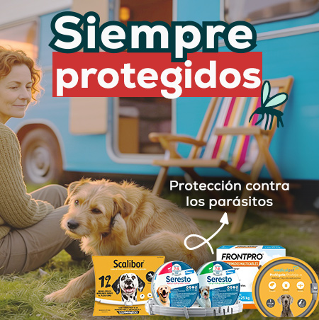 Antiparasitarios Perro y Gato: Es hora de protegerlos de las pulgas, garrapatas, flébotomos...