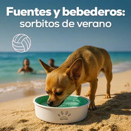 Fuentes y bebederos: Sorbitos de verano